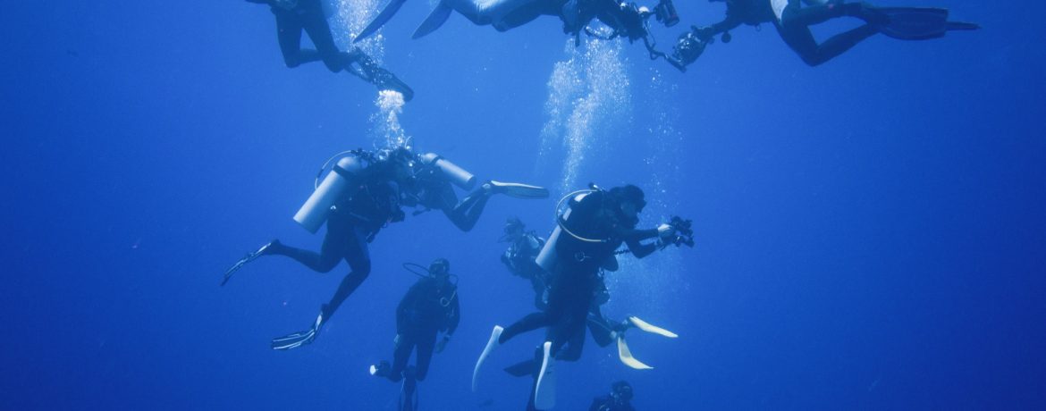A group of scuba divers descending into infinite blue waters.